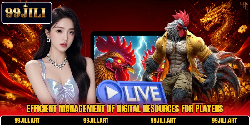 Efficient management of digital resources for players